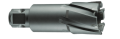 TCT KESİCİ UÇ 65x75 mm