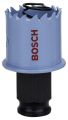Bosch Special Serisi Metal Ve Inox Malzemeler için Delik Açma Testeresi 29 mm