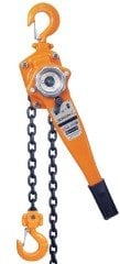 GordonX 3 Ton X 1.5 Metre Hubzug