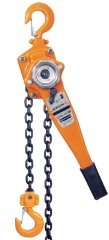 GordonX 6 Ton X 1.5 Metre Hubzug