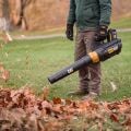 CAT DG250 18Volt 4.0Ah. Li-ion Tek Akülü Devir Ayarlı Profesyonel Yaprak Üfleme
