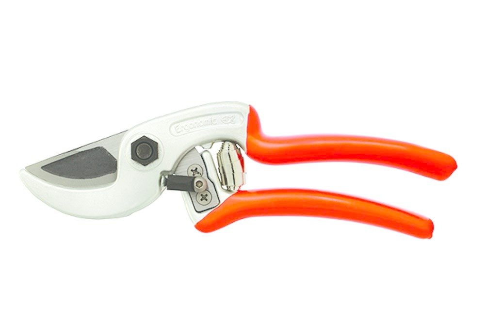CASTELLARI BUDAMA MAKASI GR-215