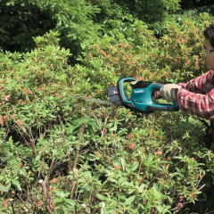 Makita UH5580 - Elektrikli Çit Budama 670w - Uh5580 Modeli