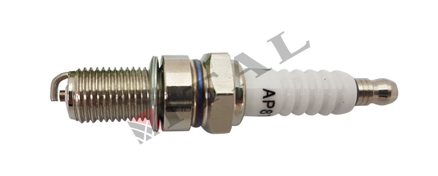 ITAL Motorsiklet Ve Scooter Buji