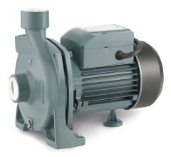 Rainpump CPM130 - Santrifuj Pompa - Cpm130 Modeli ile Güçlü Performans